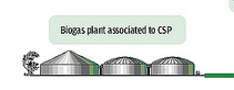 Biogas